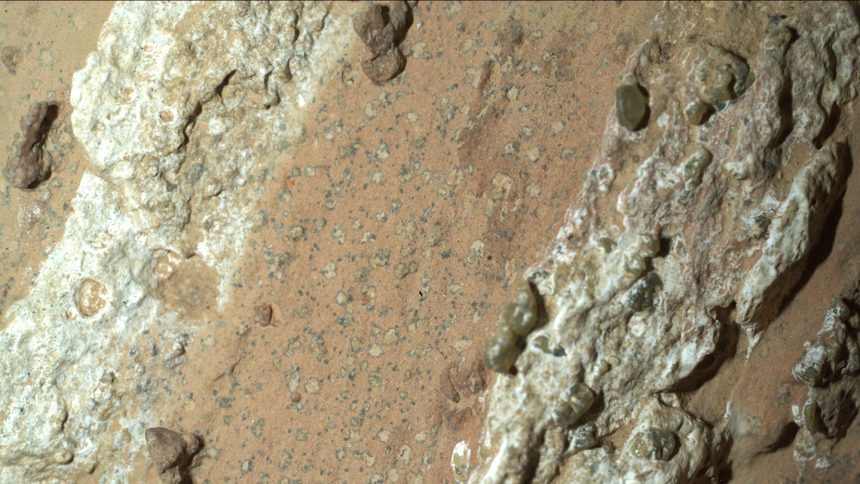 NASA’s Perseverance Rover Uncovers Exciting Clue in Search for Ancient Life on Mars!