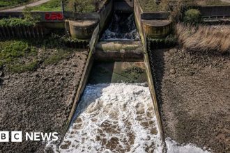 Water Companies Hit with Shocking £168 Million Fines for Sewage Spills!