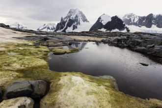 Discover the First-Ever Map of Antarctica’s Hidden Greenery: What Surprising Insights Await?