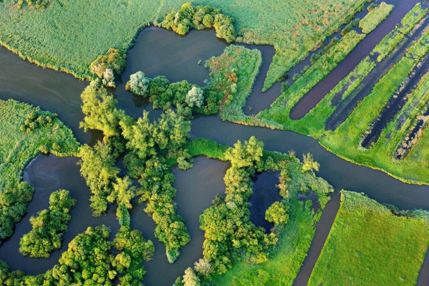 Unseen Threat: How Soaring Methane Emissions from Wetlands Could Derail Climate Goals