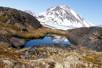 Unearthing Greenland’s Warm Past: Fossils Reveal a Once Ice-Free Land That Could Thrive Again!