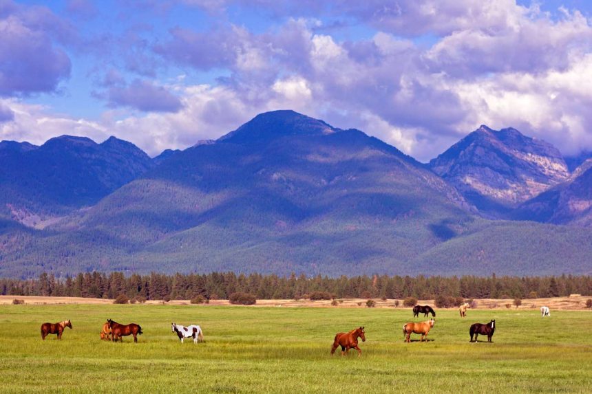 Discover the Ultimate Adventure Playground in This Enchanting Montana Town: Where Luxury Meets the Great Outdoors!