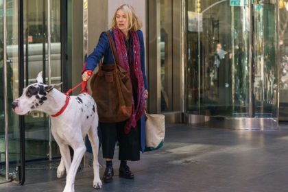 Unleashing Emotions: Naomi Watts’ ‘The Friend’ Tackles Love, Loss, and the Journey of Acceptance Through a Heartfelt Dog Tale