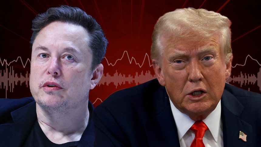 Donald Trump Claims Illegal Immigration Was a Life-Saver Thanks to Elon Musk