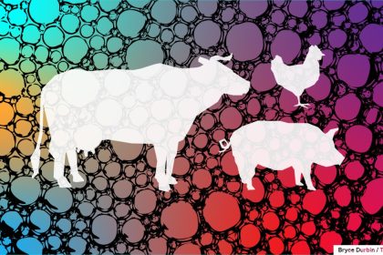 Despite .6B in VC Funding, Lab-Grown Meat Industry Grapples with Major Challenges