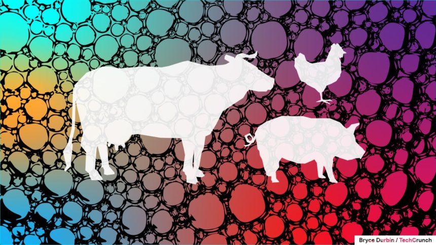 Despite .6B in VC Funding, Lab-Grown Meat Industry Grapples with Major Challenges