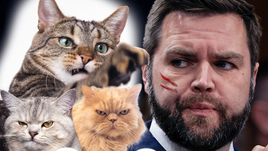 CatCon Takes Over Pasadena: A Purr-fect Weekend Even Without J.D. Vance!