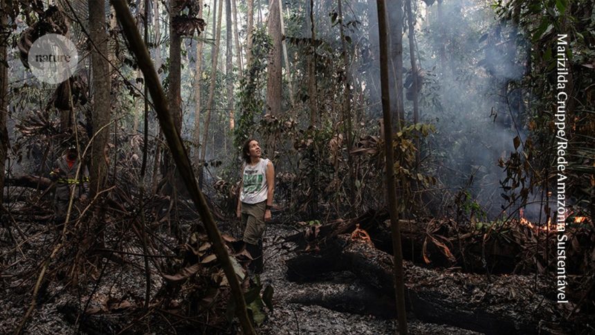 Who Will Safeguard Our Planet? The Overwhelming Struggles of Climate Scientists Amidst the Amazon Rainforest’s Devastation