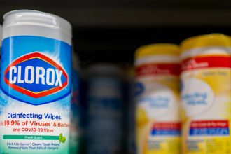 Clorox’s Stock Soars: Can Trash Bags and Cats Sustain the Comeback?