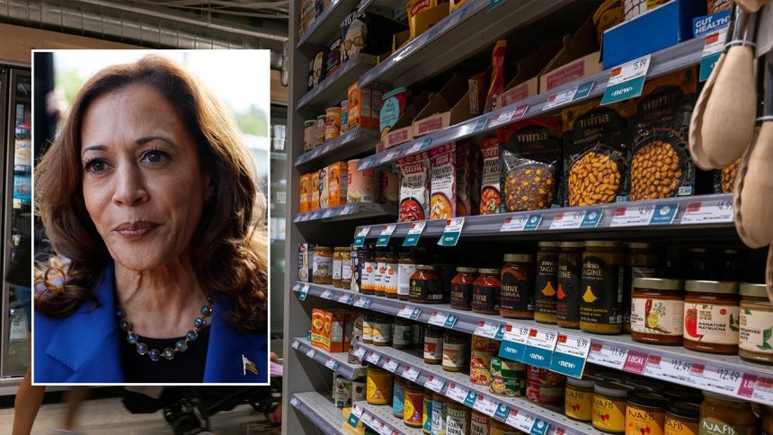 Grocer Turned House Lawmaker Slams Kamala Harris’ Price Control Plan: A ‘Nail in the Coffin’ for Consumers?