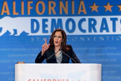 Kamala Harris Takes the Democratic Crown: A Showdown with Donald Trump Awaits This Fall!