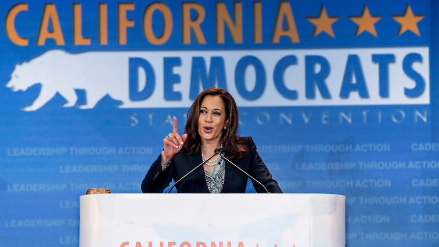 Kamala Harris Takes the Democratic Crown: A Showdown with Donald Trump Awaits This Fall!