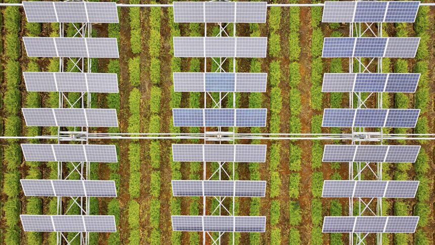 Can Solar Farms and Crop Farms Thrive Together? Exploring the Future of Sustainable Agriculture!