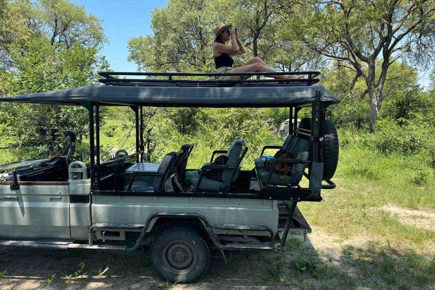 Unforgettable Safari Adventure: Witnessing the Big Five, Marveling at Victoria Falls, and Starry Nights with Fellow Explorers!