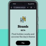 Unlock the Fun: Your Ultimate Guide to NYT Strands for November 1st – Hints, Answers, and Spangram Awaits!