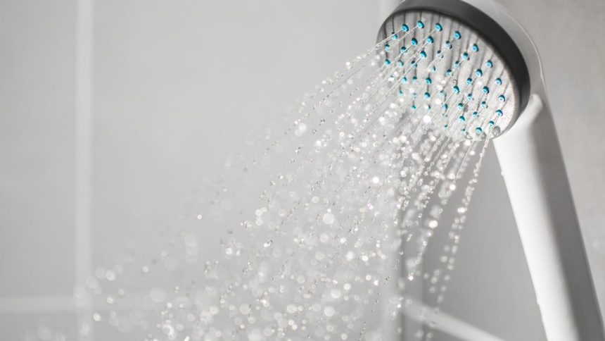 Transform Your Shower Experience: The Top Showerhead Filters of 2024!