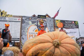 Massive Pumpkin Could Spice Up 74,794 Lattes: A Fall Flavor Sensation!