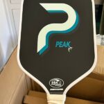 From Budget Bliss to Surprising Setbacks: My ,000 Pickleball eCommerce Journey and the Shocking ,095 Expense!